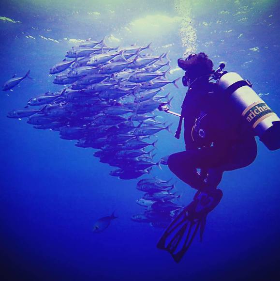 Meet your Posher, Chris - Picture 1 of 1